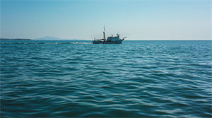 Giornata Mare: Fedagripesca, 85% giovani lo ama ma solo...